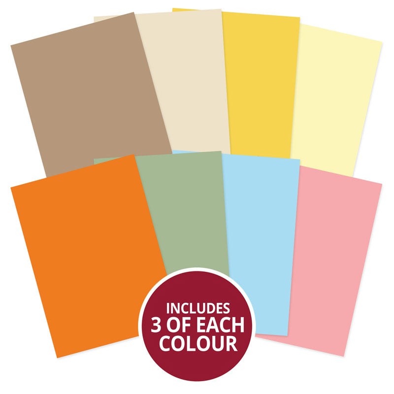 Animal Antics Adorable Scorable Selection