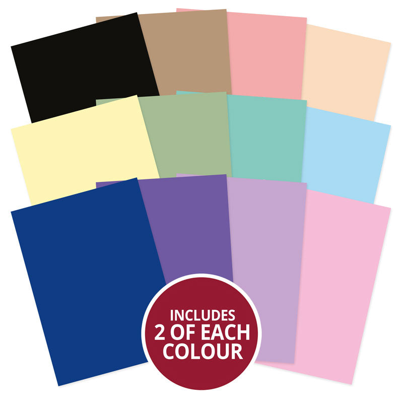 Stained Glass Wonderful Wildlife Adorable Scorable Selection