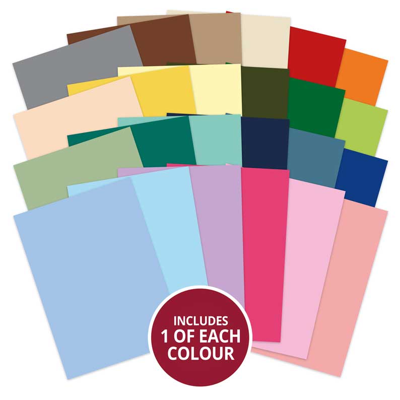 Beautiful Birds Adorable Scorable Selection