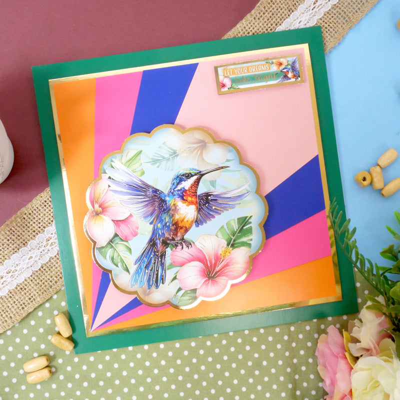 Beautiful Birds Adorable Scorable Selection