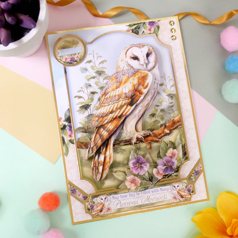 Beautiful Birds Deco-Large Set - Beautiful Barn Owl