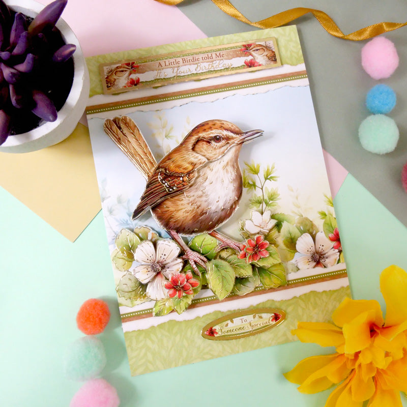 Beautiful Birds Deco-Large Set - Wee Wren