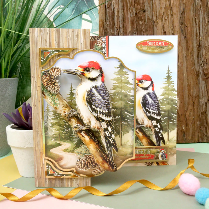 Beautiful Birds Designer Deco-Large Collection