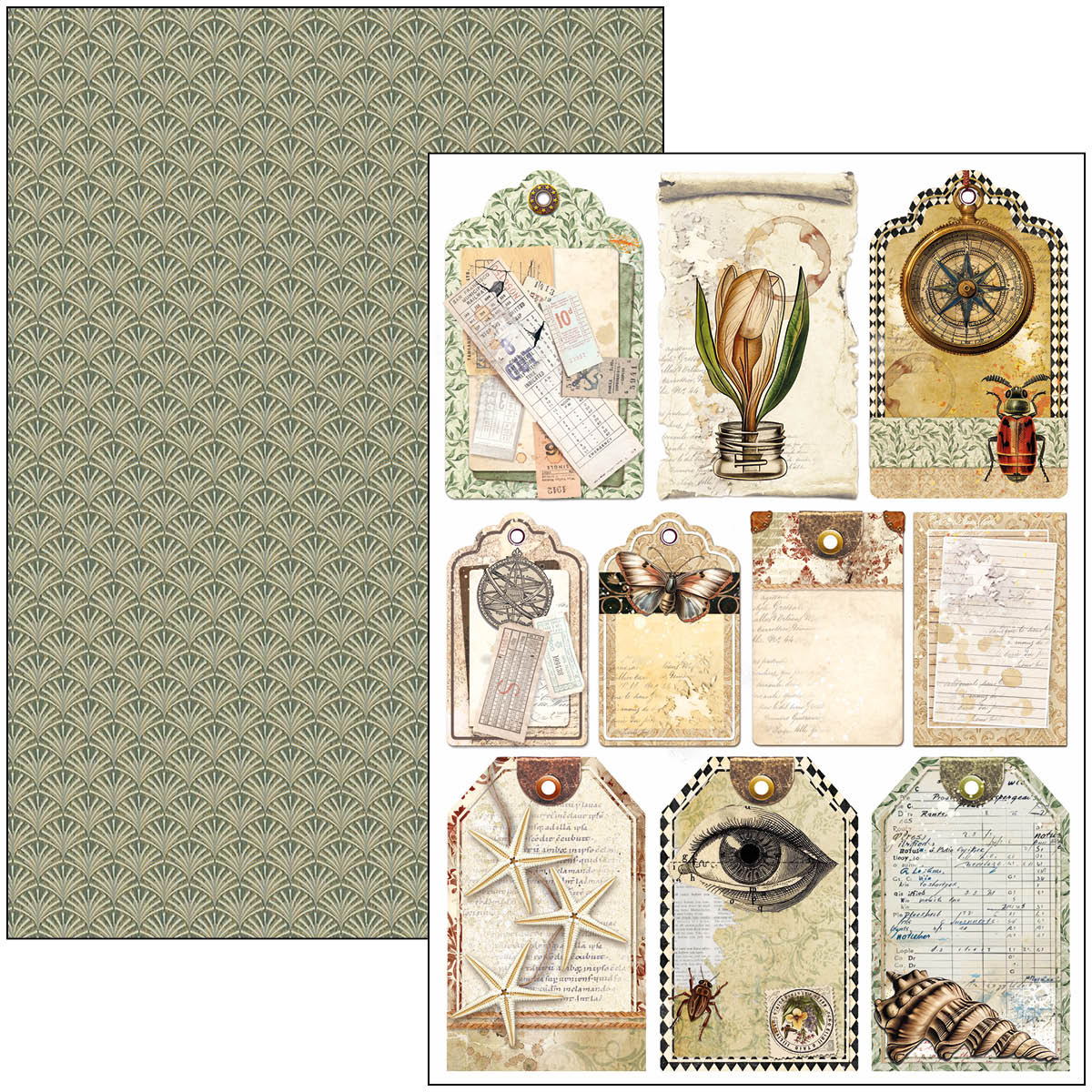 Cabinet Of Curiosities Creative Pad A4 9/Pkg