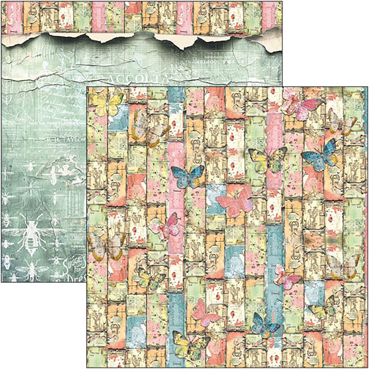 Majestic Dream  Pad 8"x8" 12/Pkg