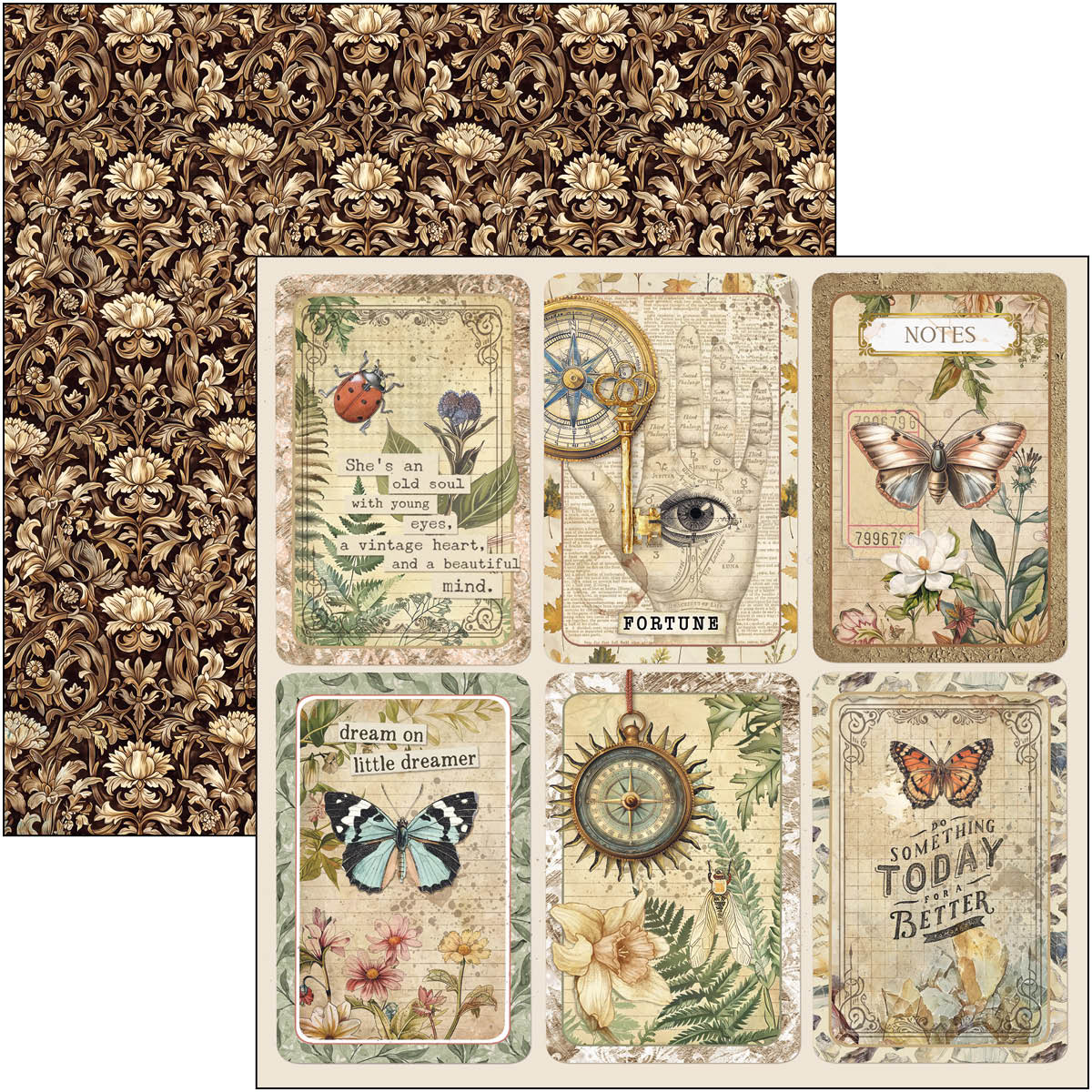 Cabinet Of Curiosities Pad 8"x8" 12/Pkg