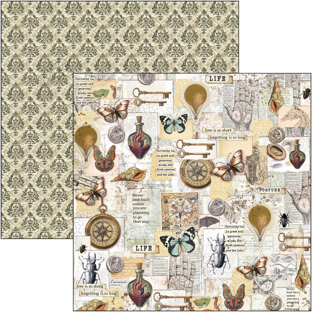 Cabinet Of Curiosities Paper Pad 12"x12" 12/Pkg