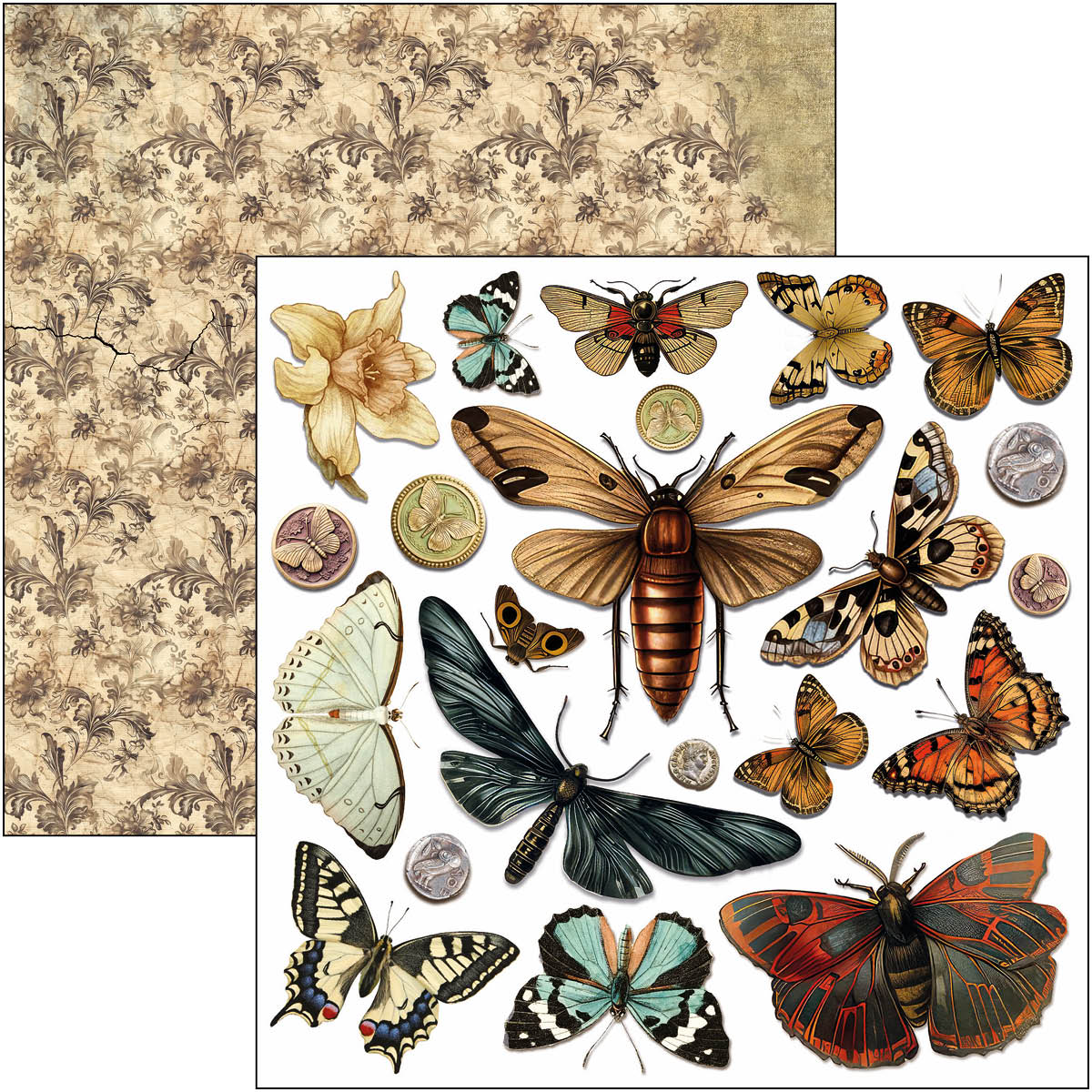 Cabinet Of Curiosities Fussy Cut Pad 6"x6" 24/Pkg