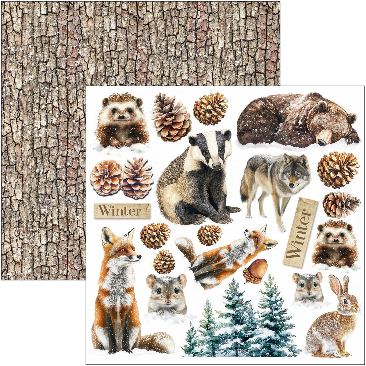 Forest Tales Fussy Cut Pad 6"x6" 24/Pkg