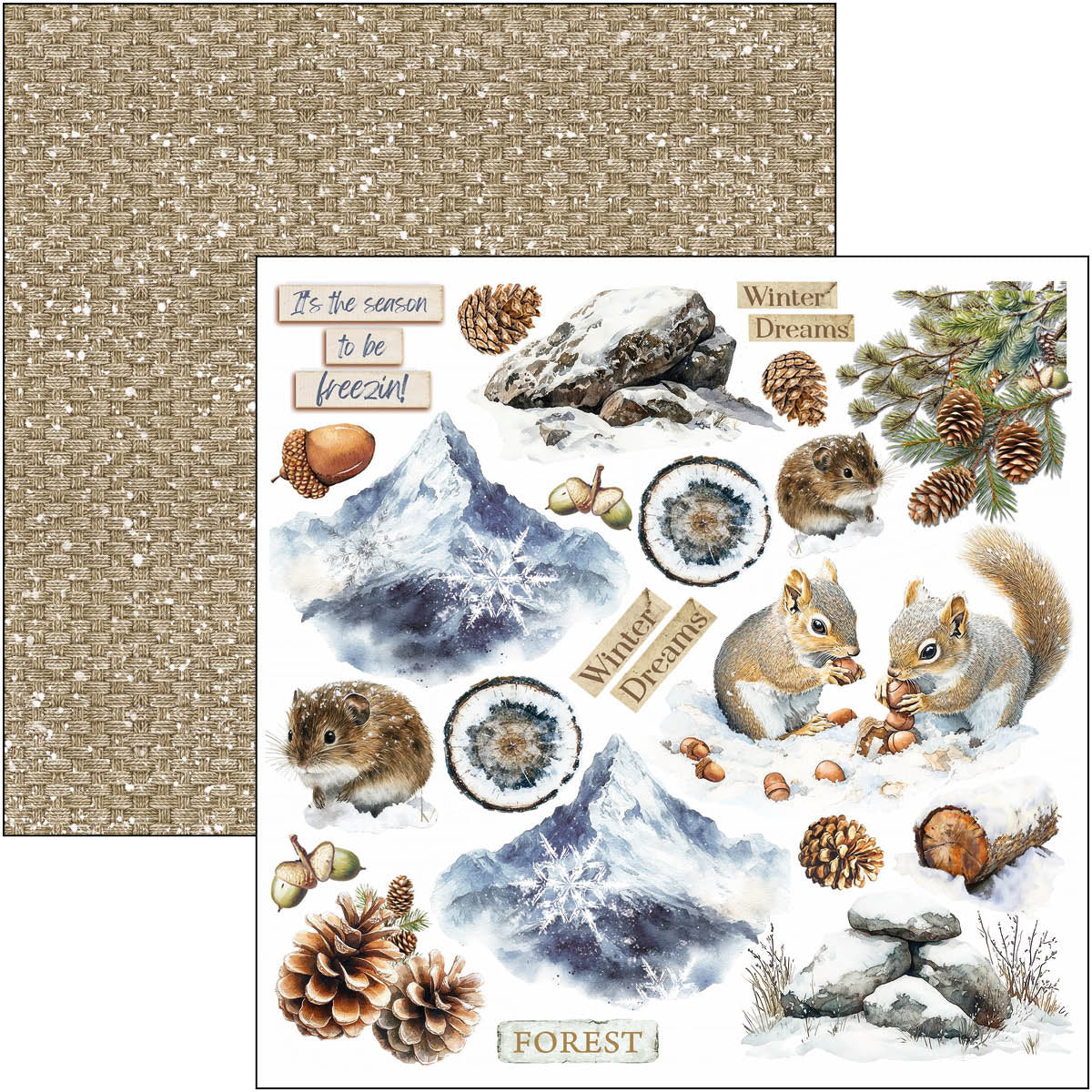 Forest Tales Fussy Cut Pad 6"x6" 24/Pkg