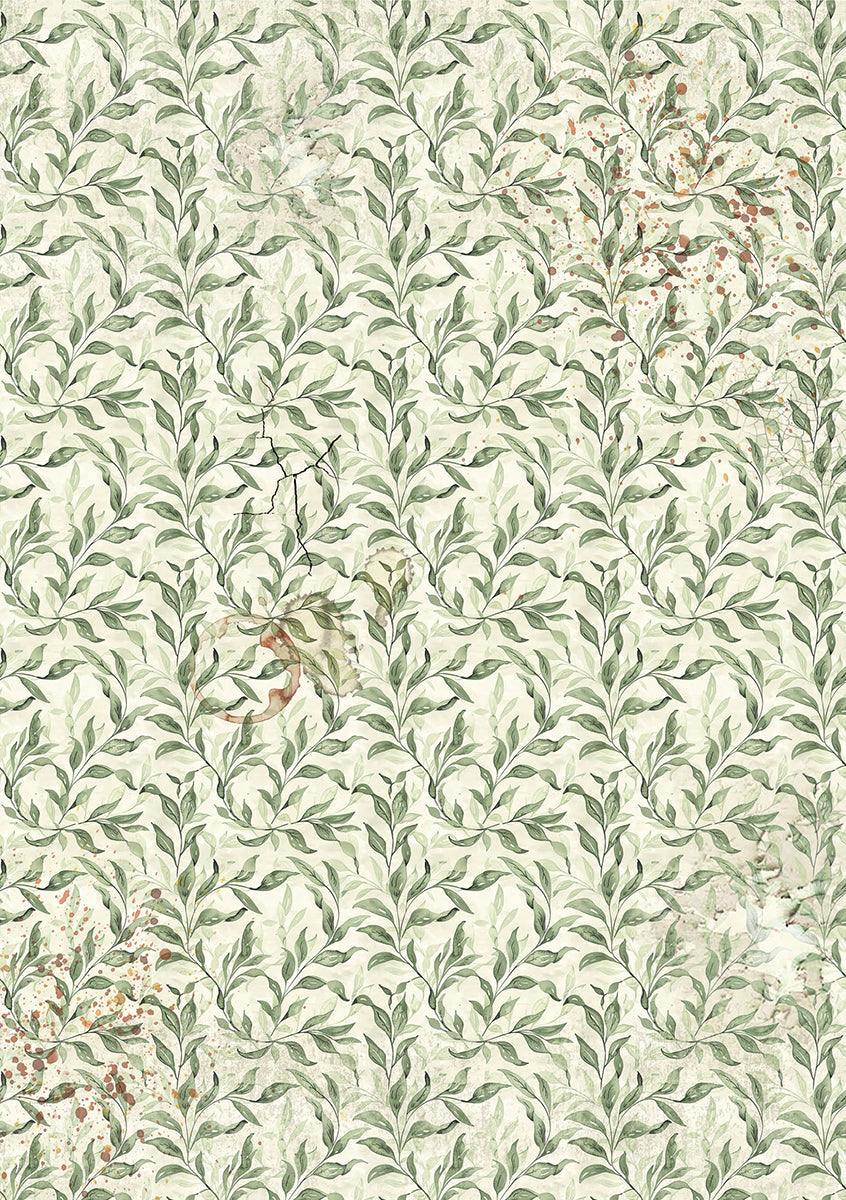 Rice Paper A5 Mixed 8/Pkg Cabinet Of Curiosities