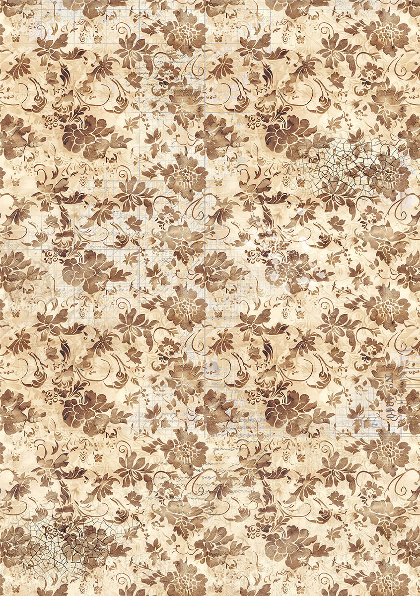 Rice Paper A5 Mixed 8/Pkg Cabinet Of Curiosities