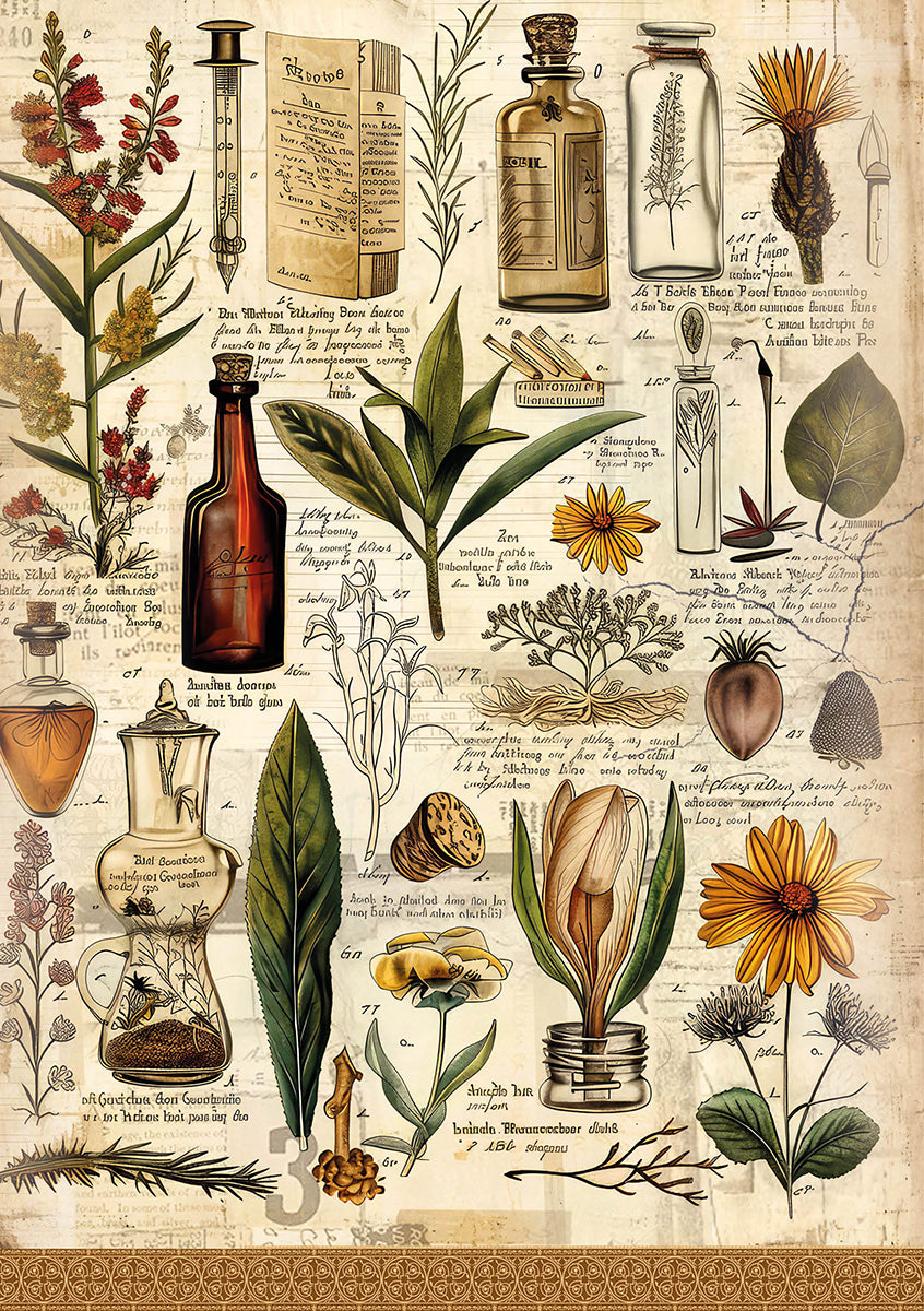 Rice Paper A5 Mixed 8/Pkg Cabinet Of Curiosities