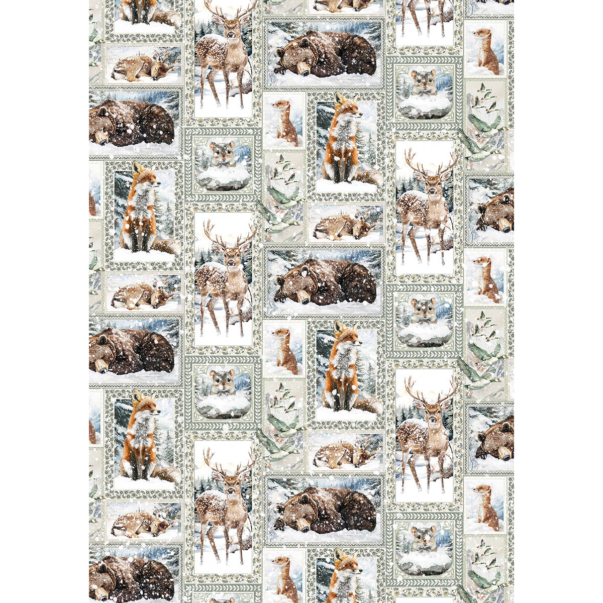 Rice Paper A5 MIXED 8/Pkg Forest Tales