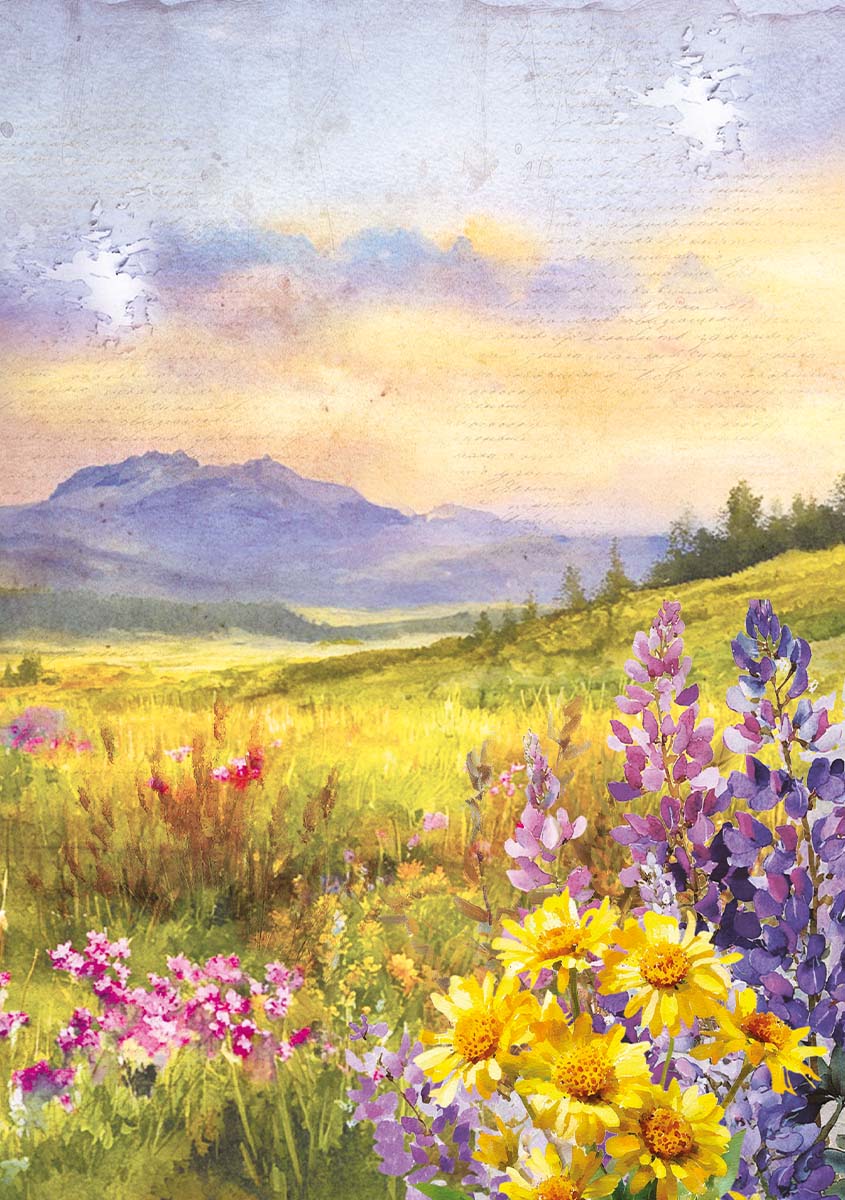 Rice Paper A5 MIXED 8/Pkg Yellowstone