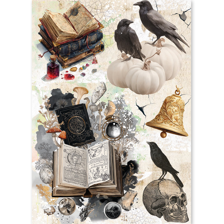 Rice Paper A5 MIXED 8/Pkg The Witch's Grimoire