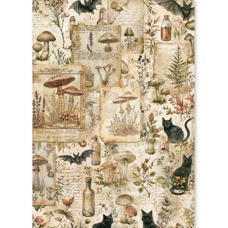 Rice Paper A5 MIXED 8/Pkg The Witch's Grimoire