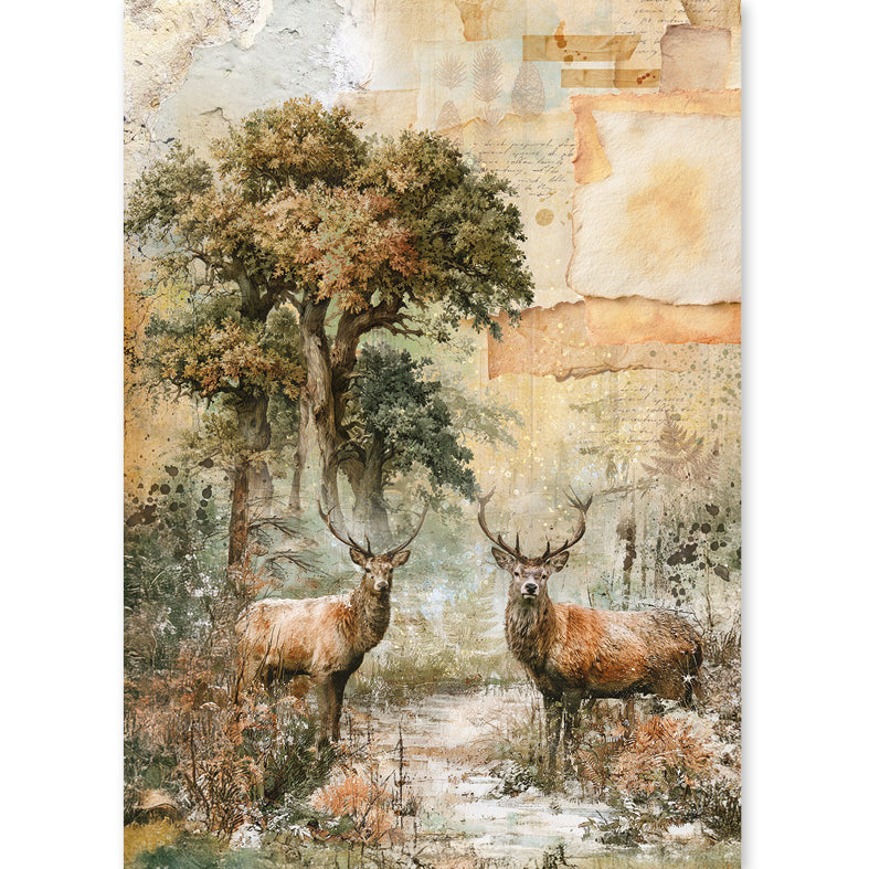 Rice Paper A5 MIXED 8/Pkg The Nature Journal