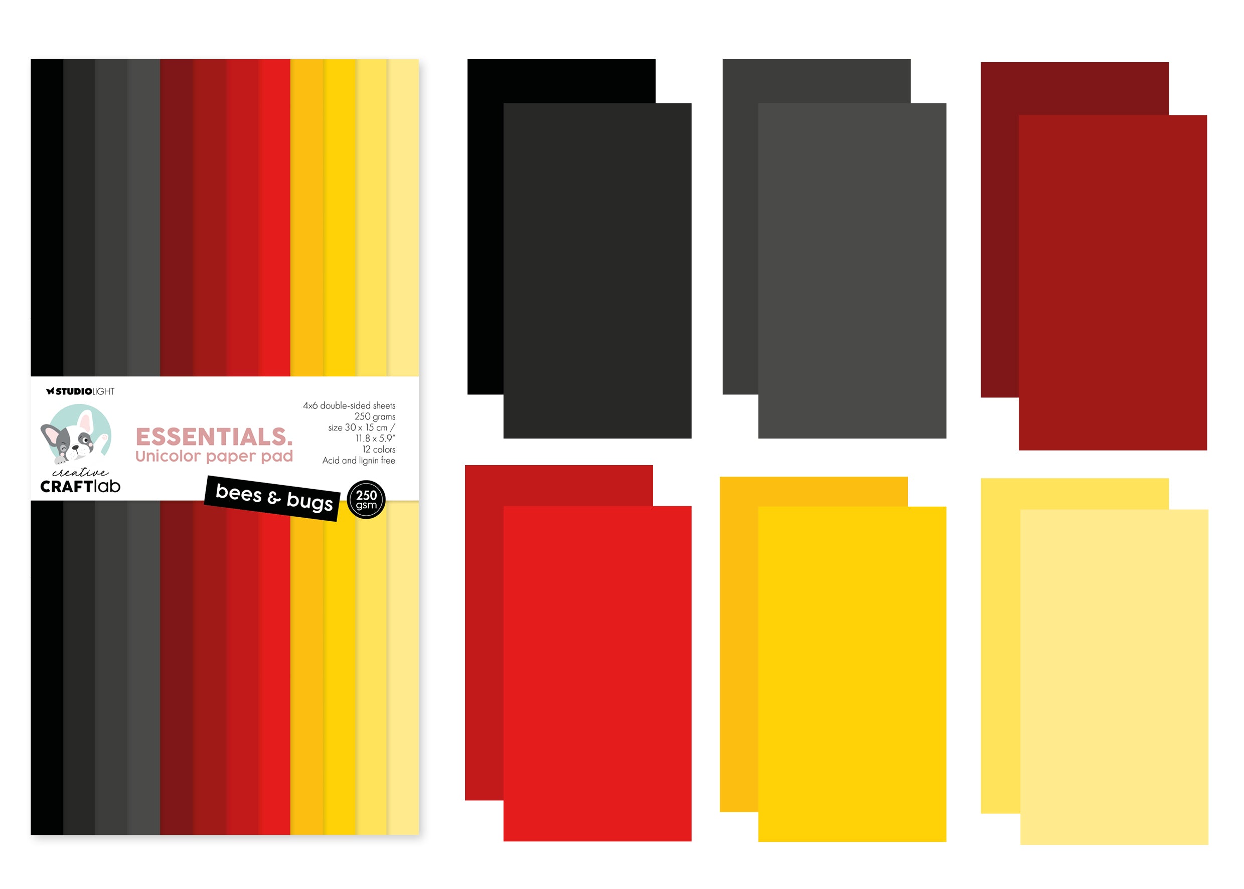 CCL Unicolor Paper Pad Bees & Bugs Essentials 24 Sheets