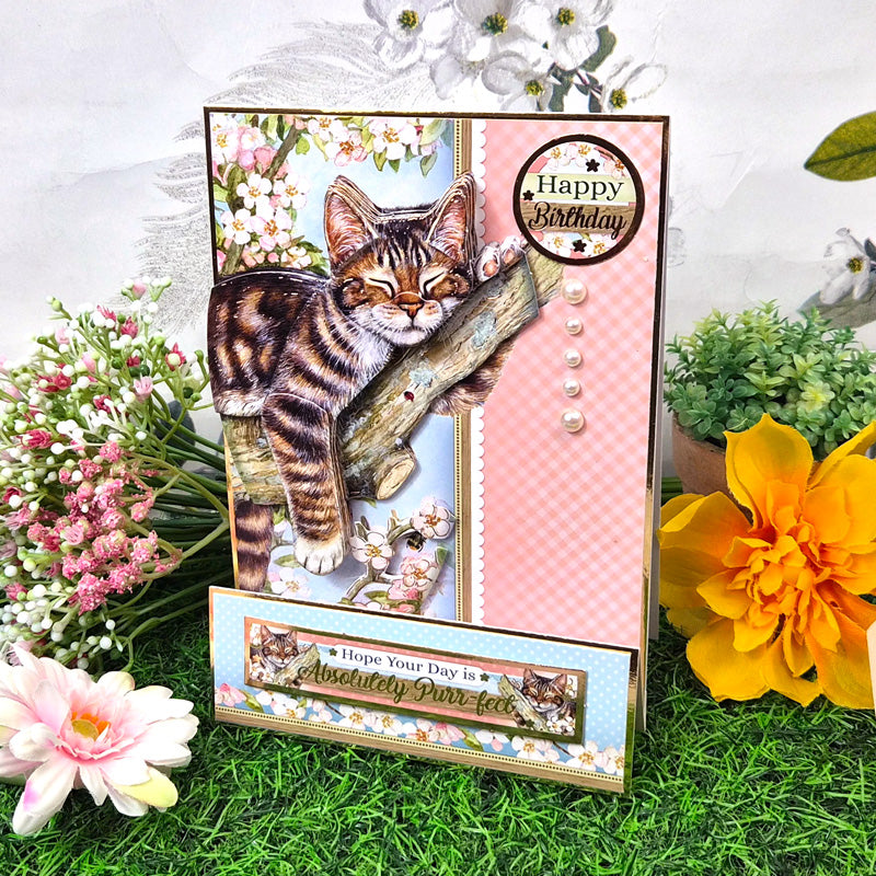Spring Cheer Deco-Large Set - The Purr-fect Day