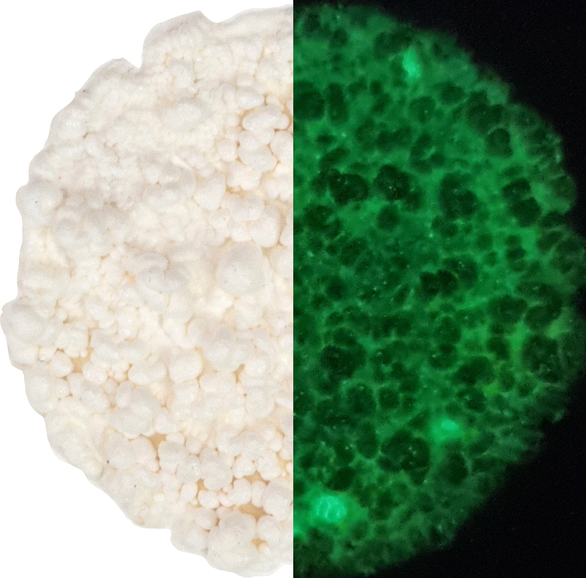 Cosmic Shimmer Fluffy Stuff Glow in the Dark 30 ml