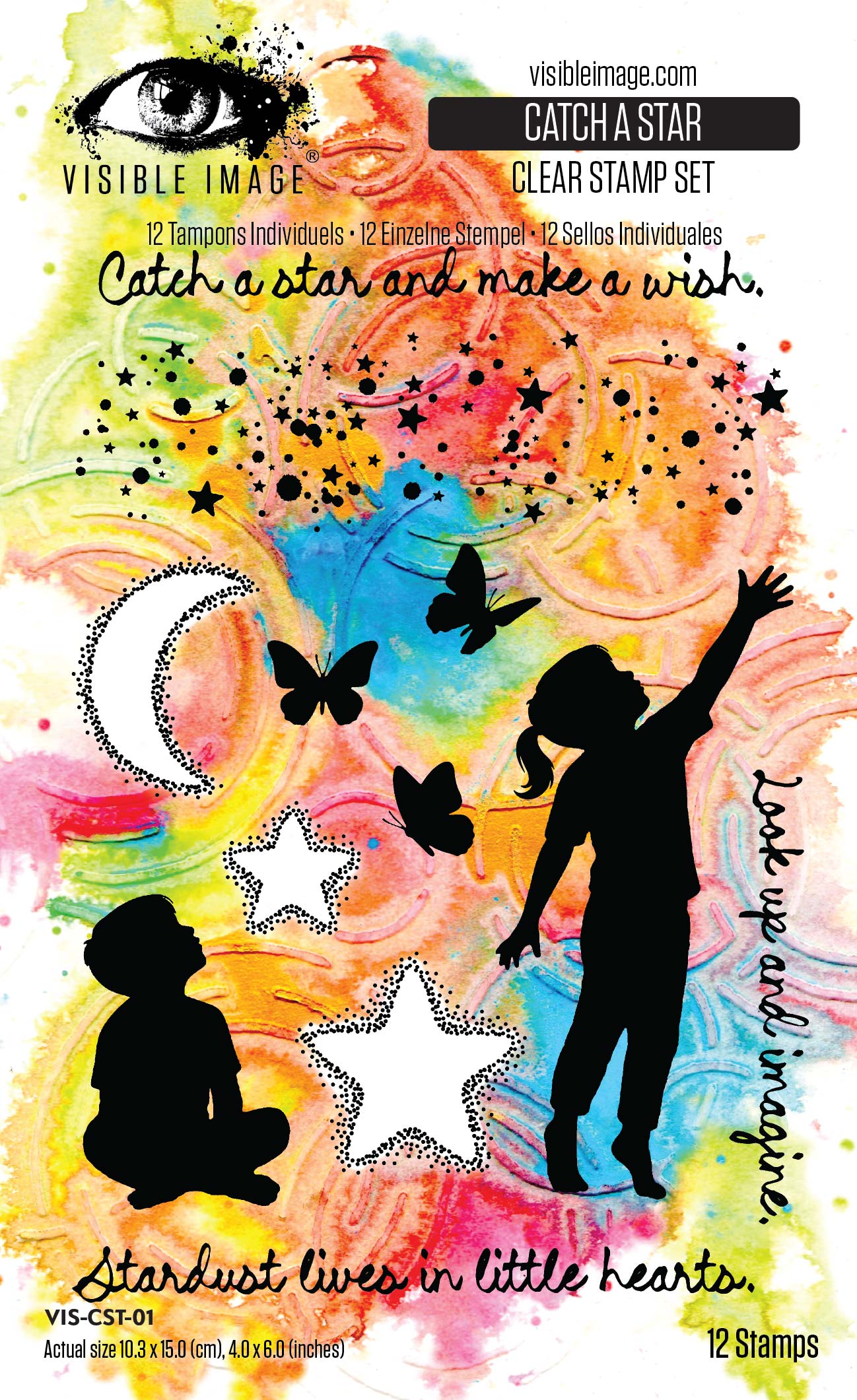 Visible Image Catch A Star 4in x 6in Stamp Set