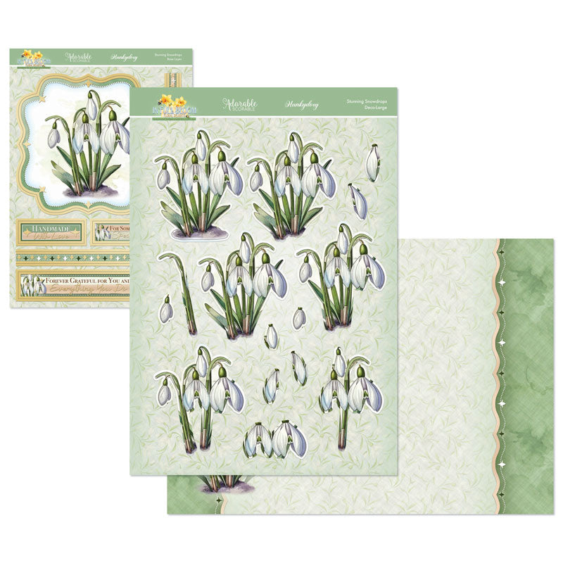 In Full Bloom - Floral Delights Deco-Large Set - Stunning Snowdrops