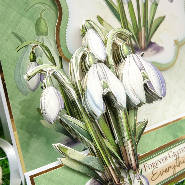 In Full Bloom - Floral Delights Deco-Large Set - Stunning Snowdrops