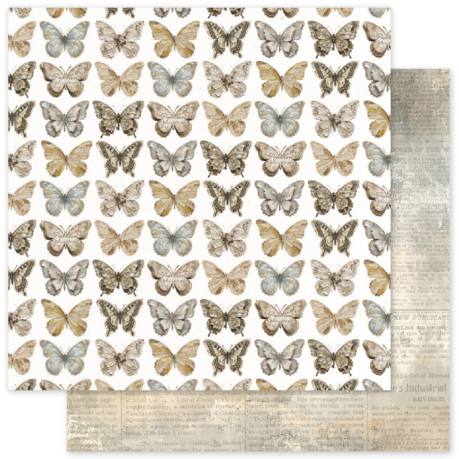 Ink & Ivory 6x6 Paper Collection 36706