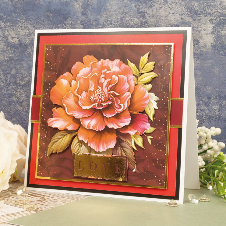 The Square Little Book of Eternal Blooms