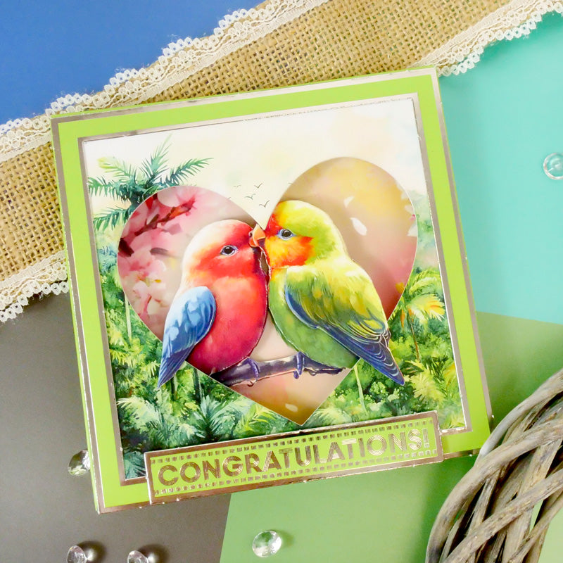 The Square Little Book of Brilliant Birds