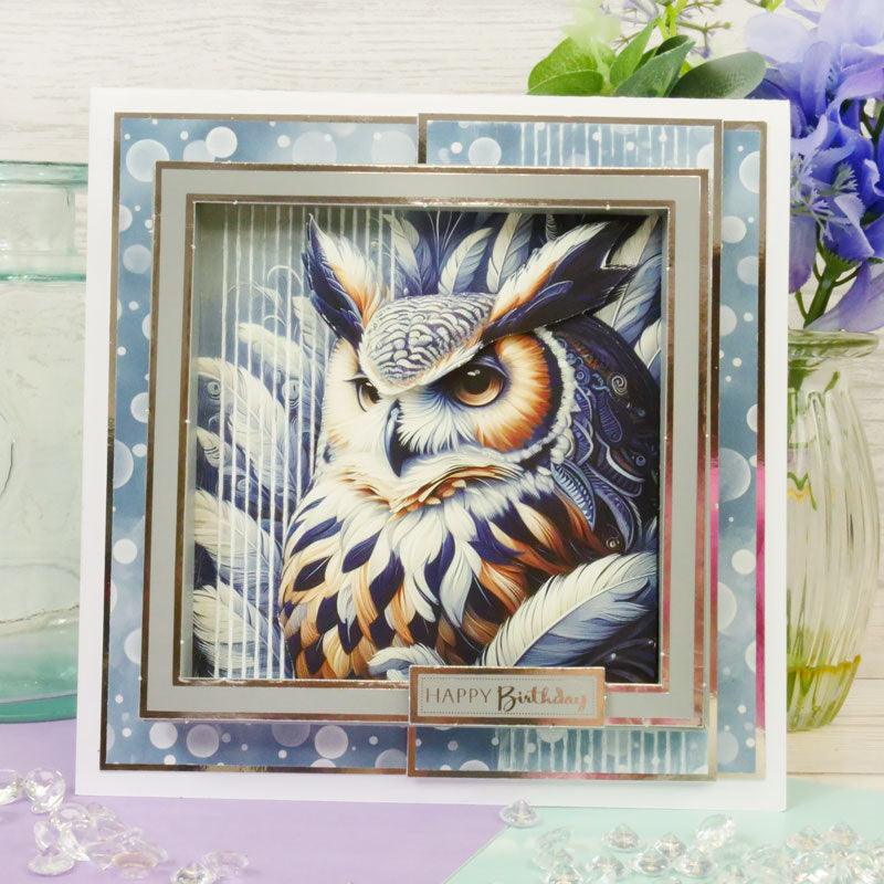 The Square Little Book of Brilliant Birds