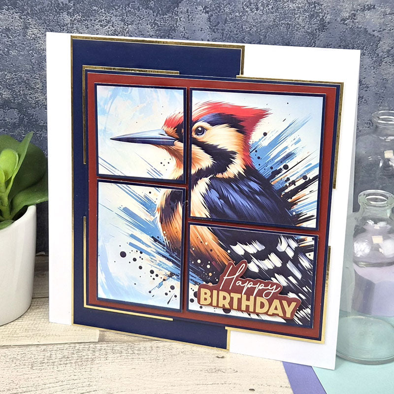 The Square Little Book of Brilliant Birds