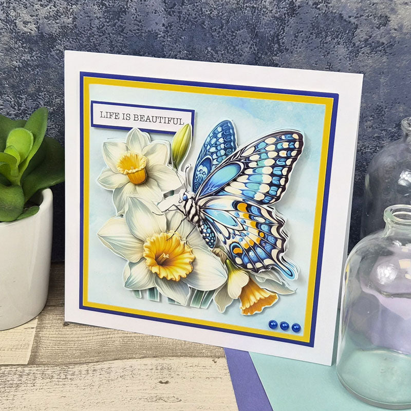 The Square Little Book of Butterfly Blooms