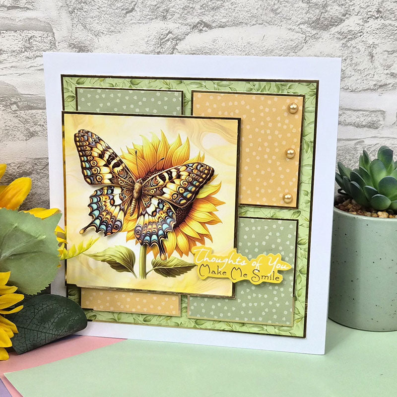 The Square Little Book of Butterfly Blooms