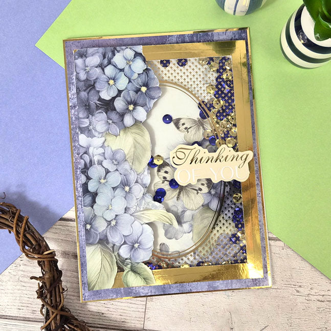 Acetate Frames & Borders