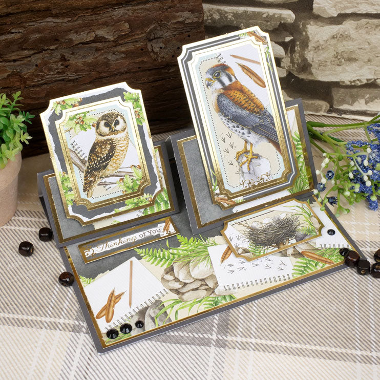 Botanical Birds Matt-tastic Adorable Scorable Selection