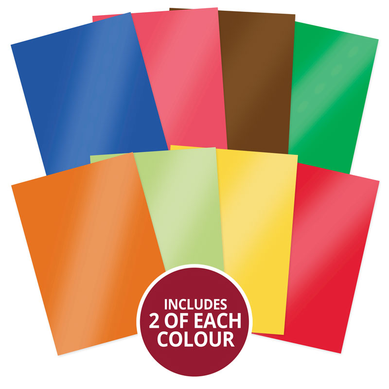 Quirky Animals Mirri Selection