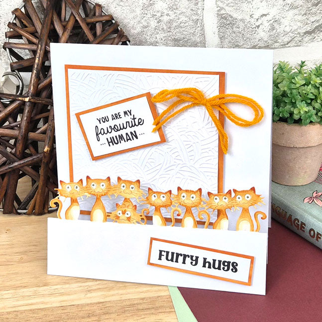 Moonstone Dies - On-the-Edge - Cats & Dogs