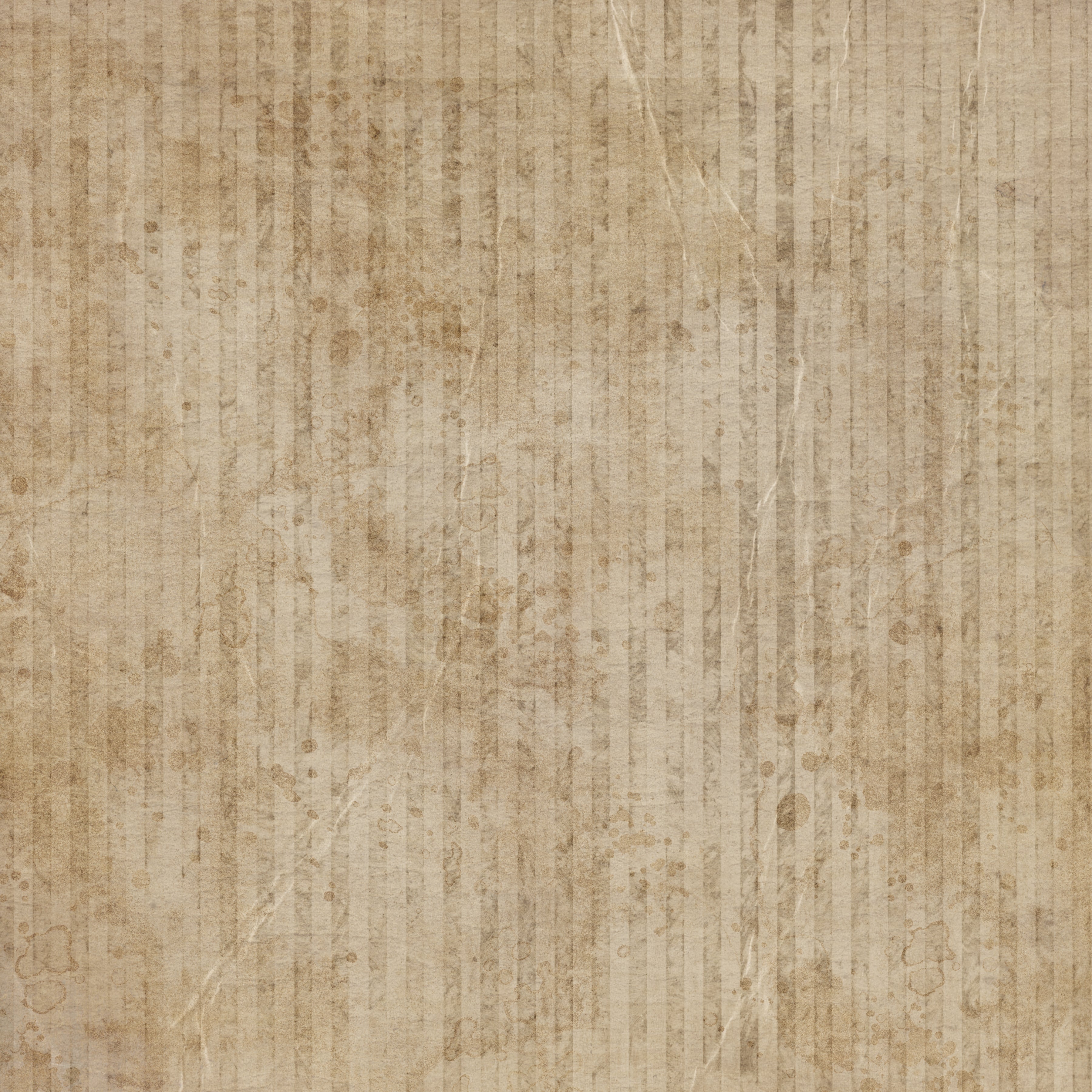 Sara Signature Antique Lace - 12" x 12" Paper Pad