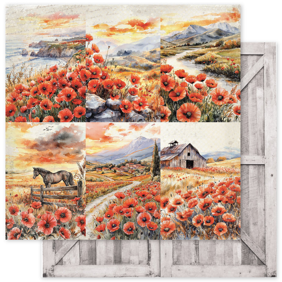 Poppy Garden Basics 6x6 Paper Collection 34641