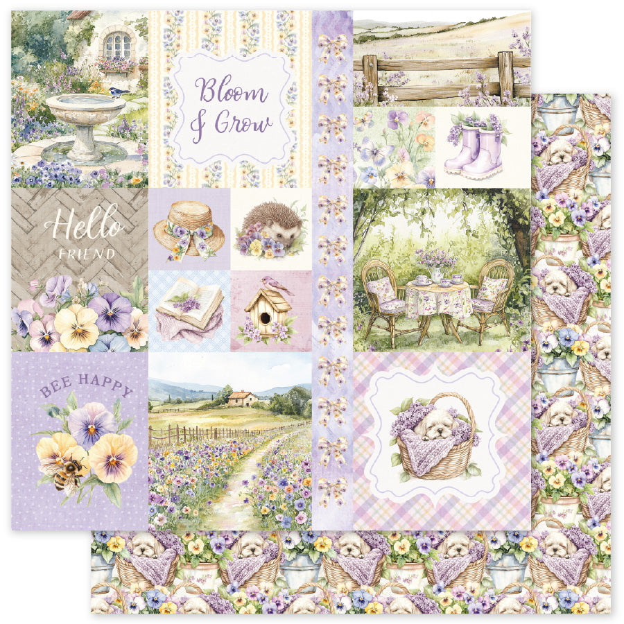 Petals & Pansies 6x6 Paper Collection 36367