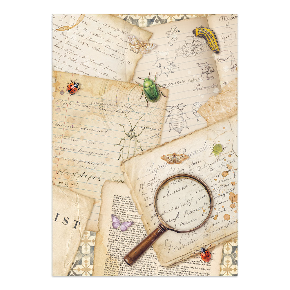 Printed Art Junk Journal: Stickers, Cut-Outs, Backgrounds For Art And Craft - All Around
