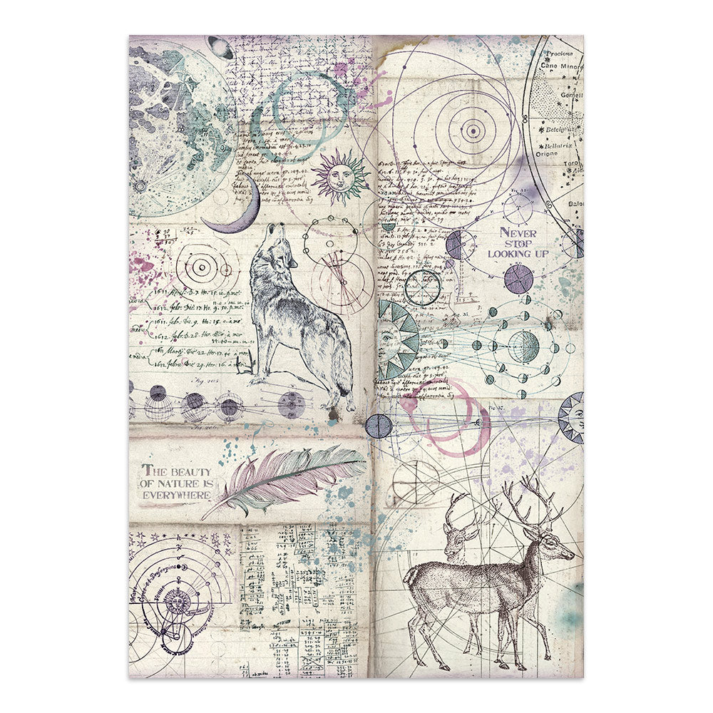 Printed Art Junk Journal: Stickers, Cut-Outs, Backgrounds For Art And Craft - Cosmos
