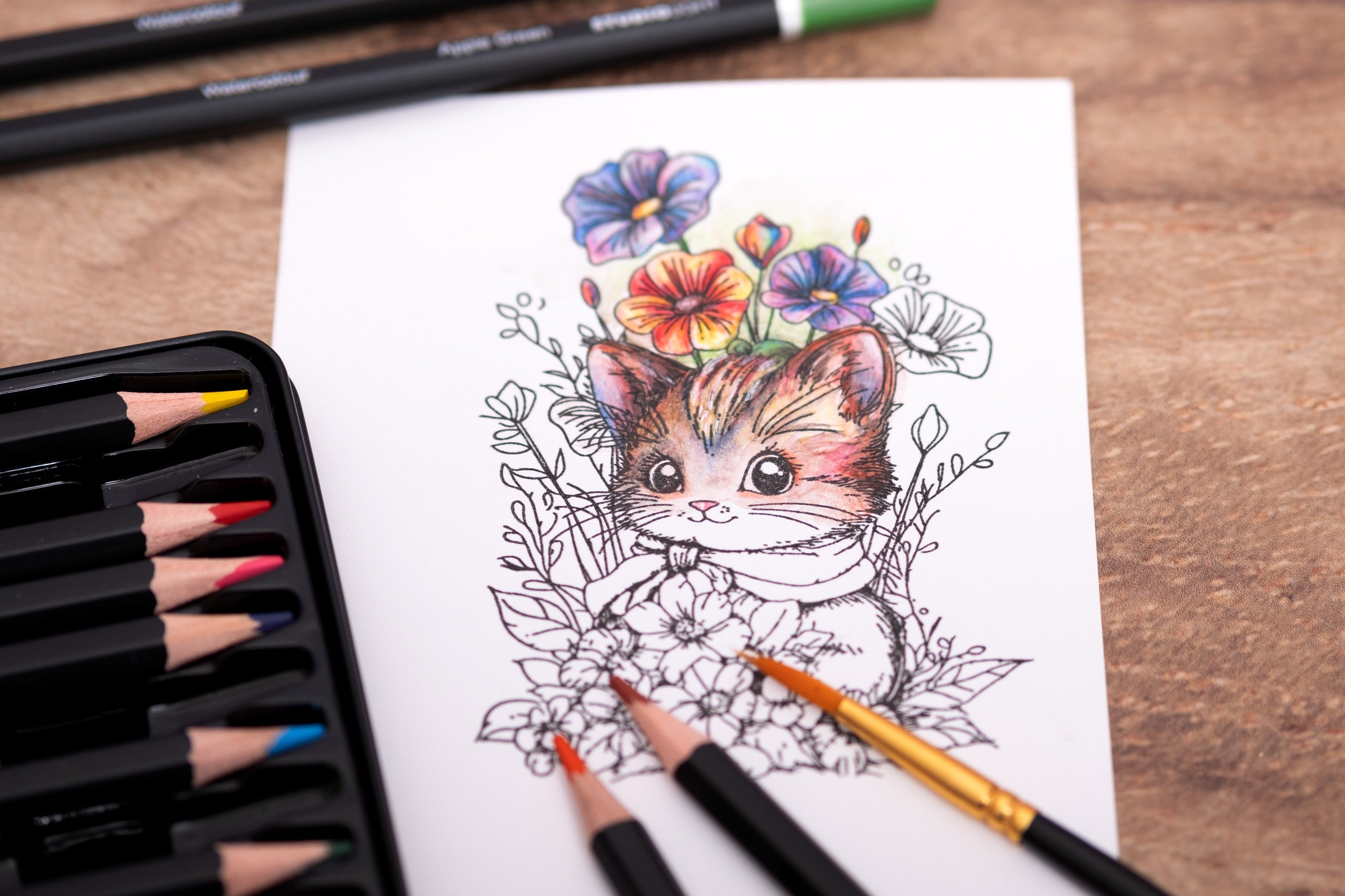 SL Pencils 12 Watercolor Pencils Essentials 12 Pieces