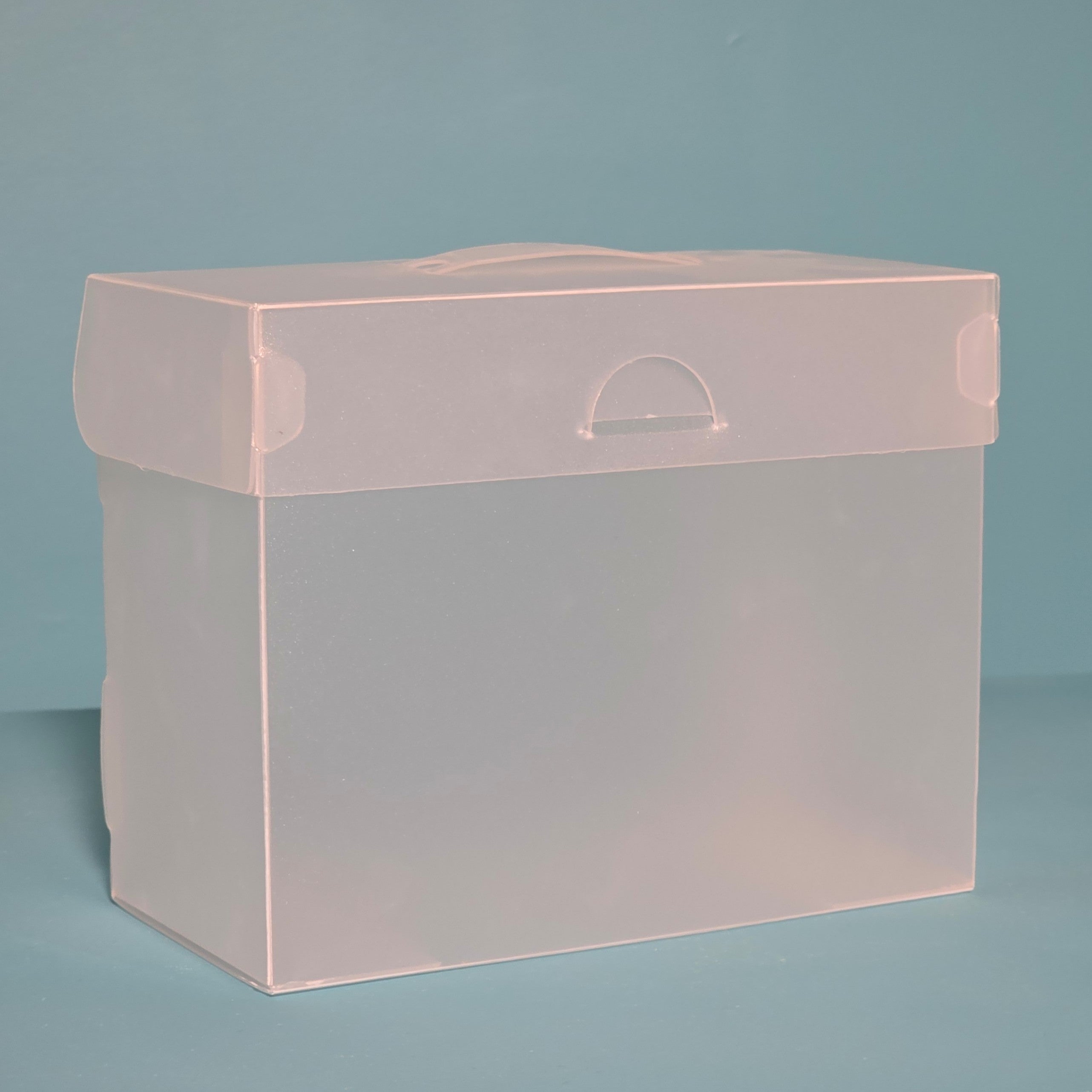 The Organized Option 4x6 File Master Storage Box with 5 Pockets