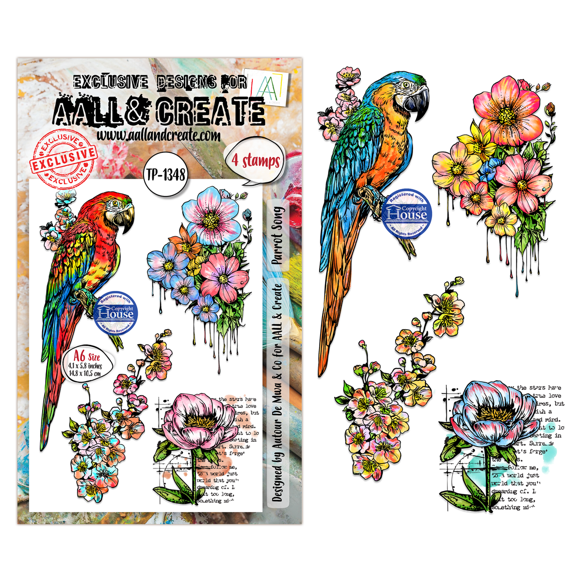AALL and Create - A6 Stamp Set - Parrot Song