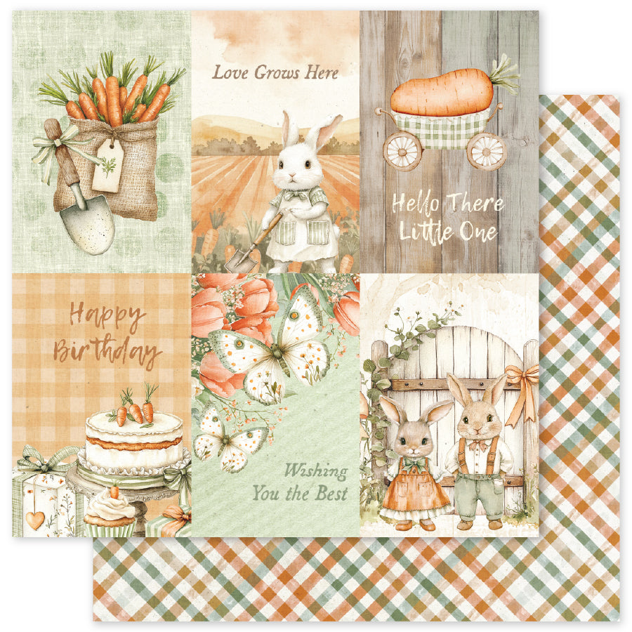 The Carrot Patch 12x12 Paper Collection 36253