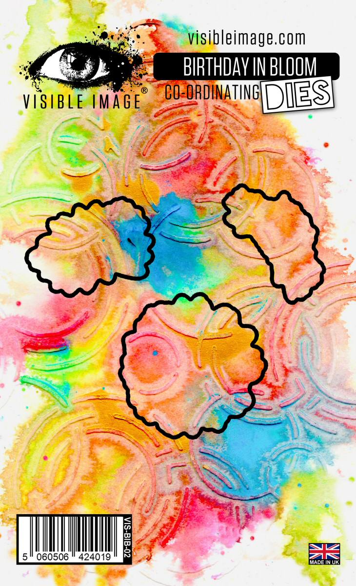 Visible Image Birthday In Bloom Co-ordinating Dies