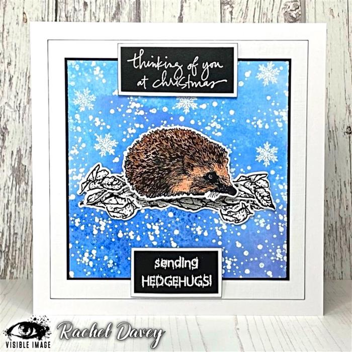 Visible Image Hedgehog Hugs Co-ordinating Dies